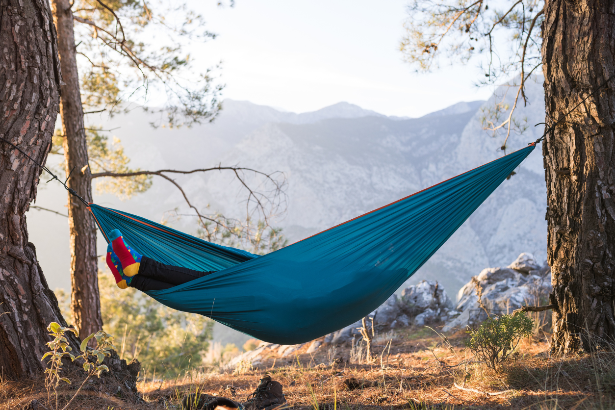 hammock