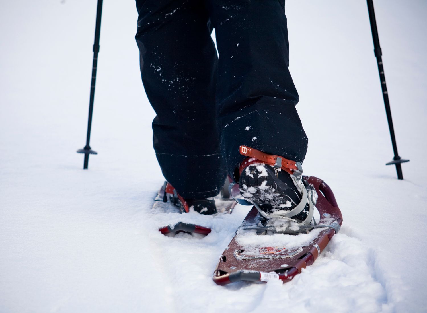 The Best Snowshoes