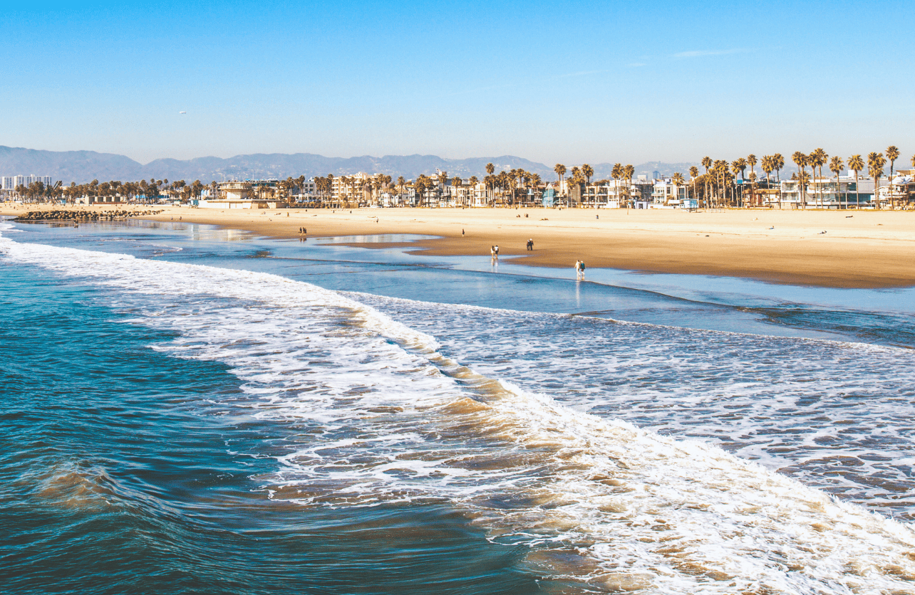 venice beach winter surfing