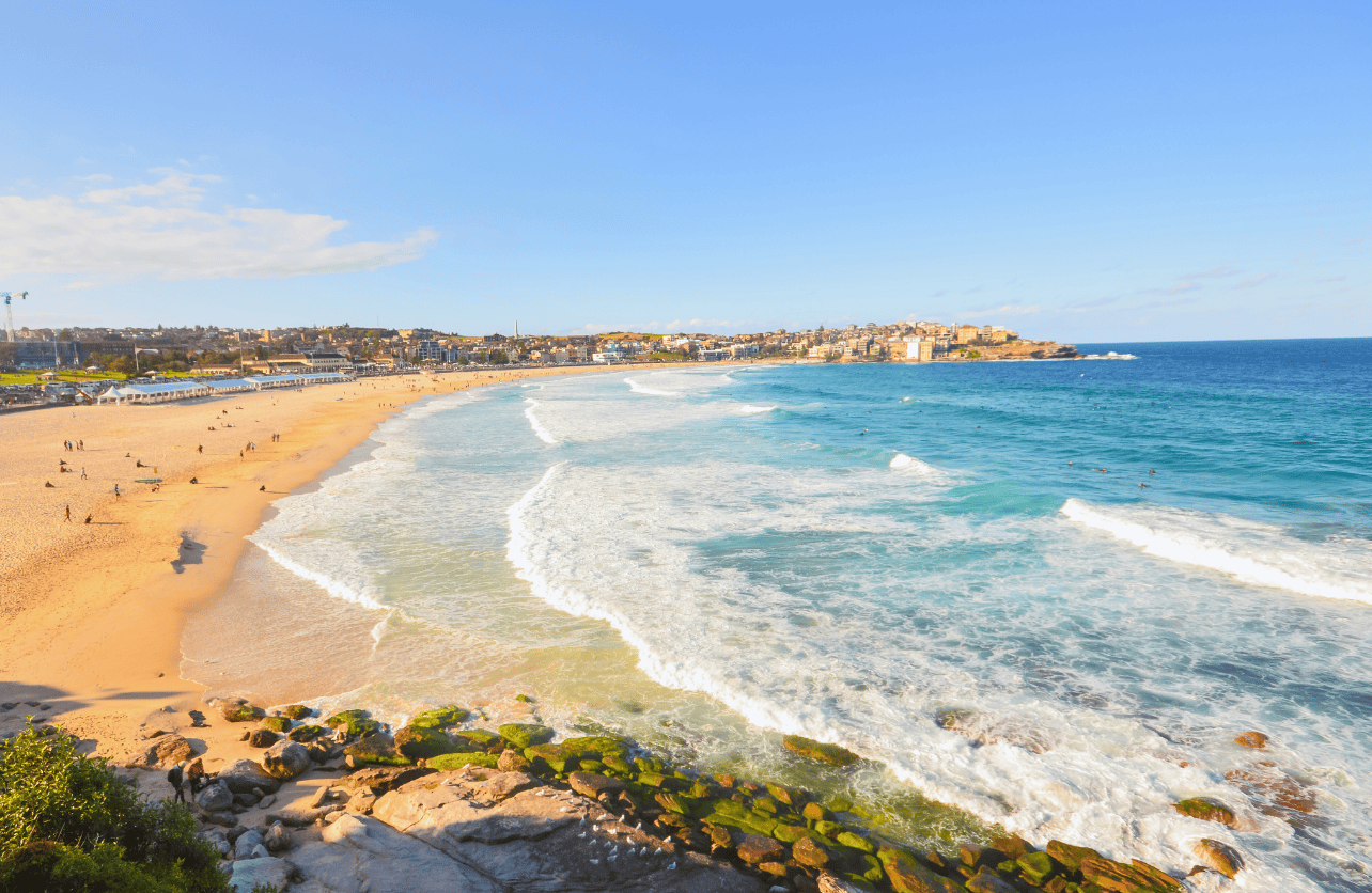 sydney bondi beach winter surfing